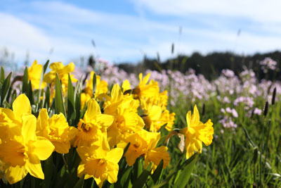 Frühling 2021