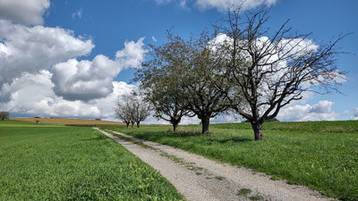 Herbst 2022 Herbst 2022