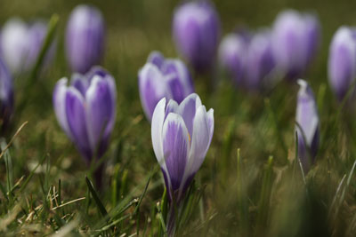 Frühling 2023 Frühling 2023