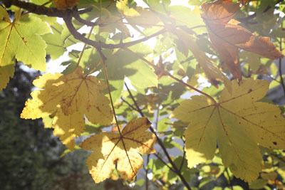 Herbst 2023