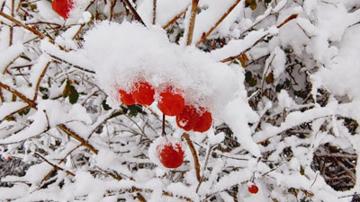 Winter 2023/24