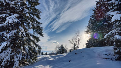 Winter 2025