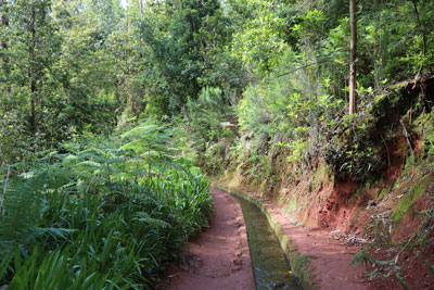 Madeira
